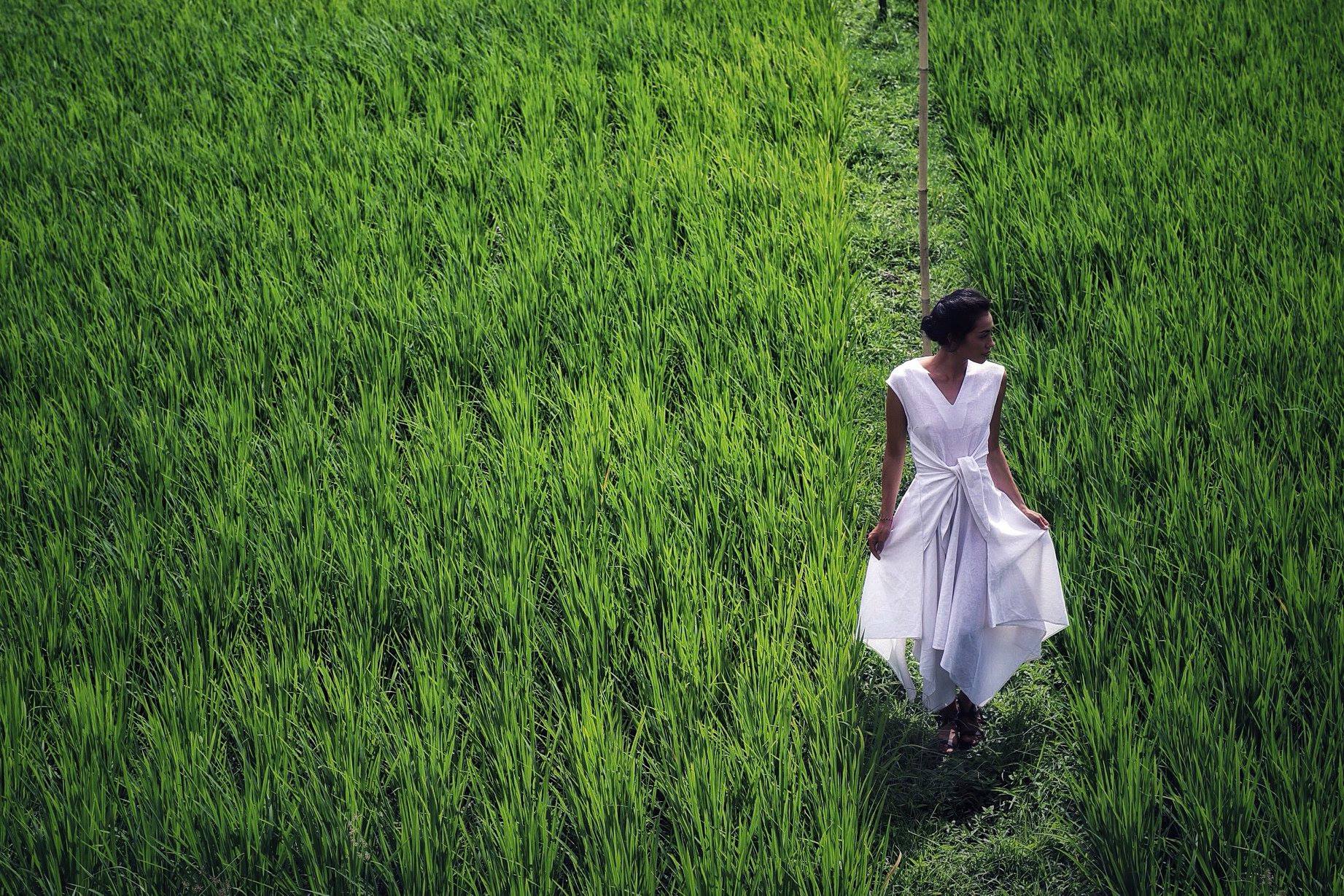 Bali · Rice fields